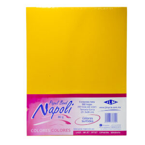Papel Carta Napoli Bond 80 Gr Col Surt C/500 H
