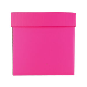 Caja Para Regalo Riarco Cubo 20X20 Liso