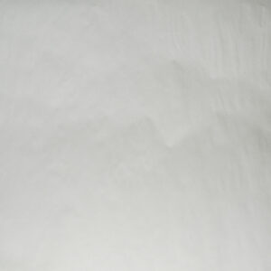 Papel Revolucion Diario 70X95