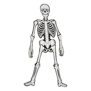 La Huesuda Para Armar - Día De Muertos